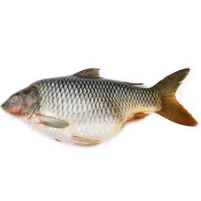 Karfu Fish